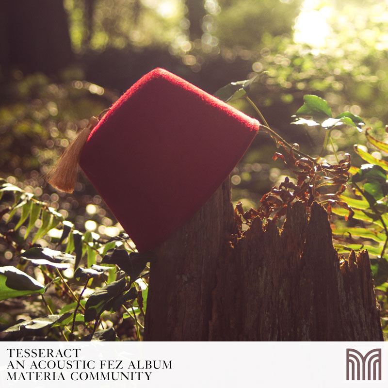 TESSERACT: An Acoustic Fez Album